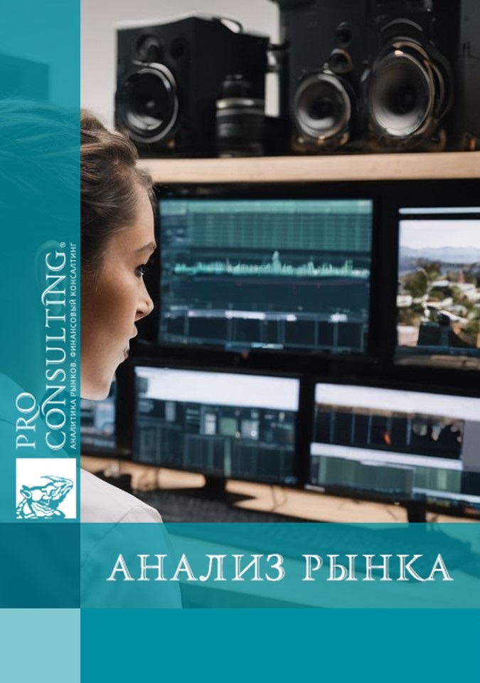 Анализ рынка систем видеоаналитики в Украине. 2024 рік